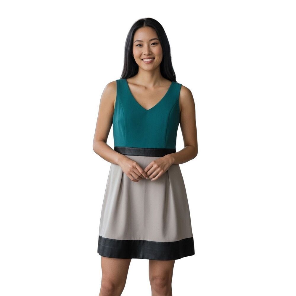 Kensie Color Block Dress Size: M
